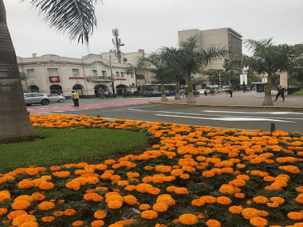 A Perfect Vacation Getaway Apartment Lima Extérieur photo